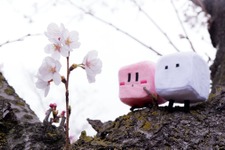 ひょっとして（形が）入れ替わってる～!?　カービィが四角くなったその裏で、「ハコボーイ」が丸くなっていた 画像