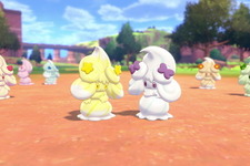 『ポケモン ソード・シールド』スター/リボンアメざいく新登場で「マホイップ」の見た目が増加！キョダイマックス個体の「マホミル」大量出現中 画像