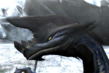 『モンスターハンター3(トライ)』に登場する新モンスター「ドスバギィ」と「バギィ」 画像