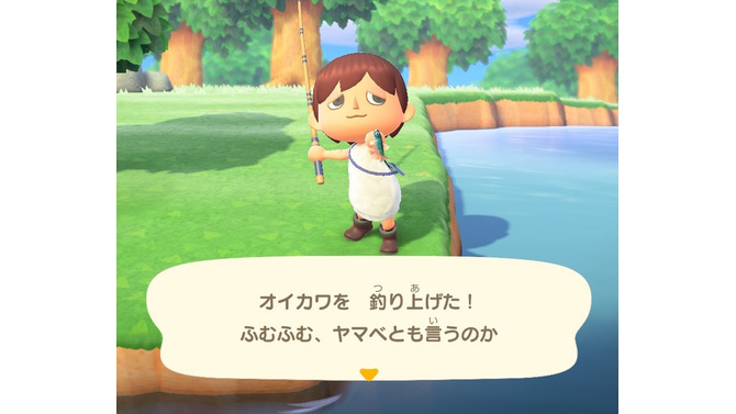 雑魚のくせして超キレイ！『あつまれ どうぶつの森』で釣れるオイカワってどんな魚？【平坂寛の『あつ森』博物誌】