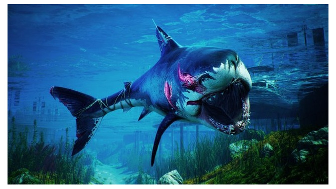 人喰いザメオープンワールド『Maneater』日本語版リリース！ 生態系の頂点を目指して喰いまくれ