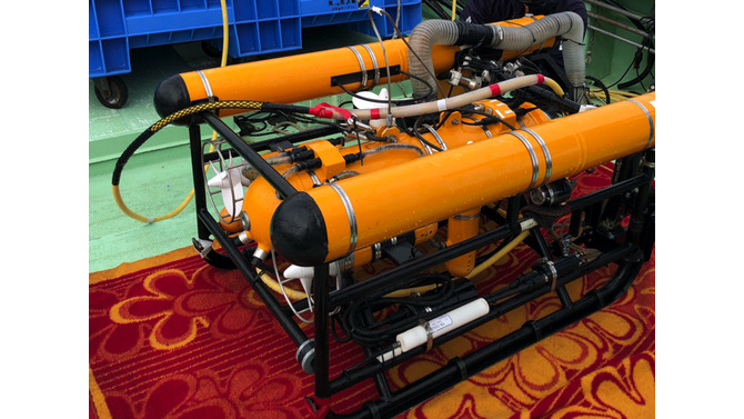 偕老同穴！『あつまれ どうぶつの森』に登場する「カイロウドウケツ」ってどんな生きもの？【平坂寛の『あつ森』博物誌】