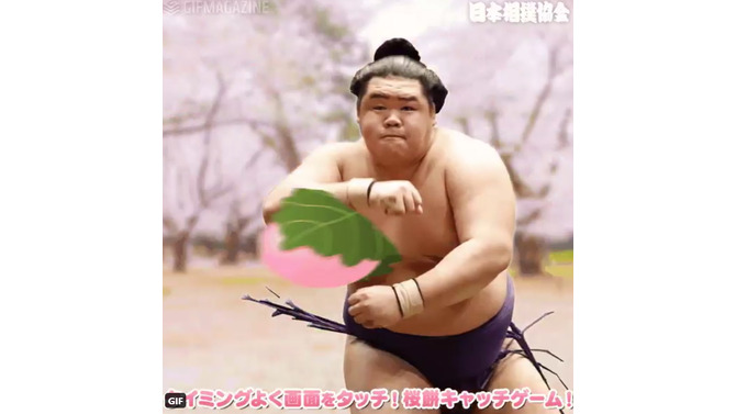 日本相撲協会の「桜餅キャッチゲーム」が話題に！リプライ欄が“桜餅を抱きしめる力士”で埋め尽くされる