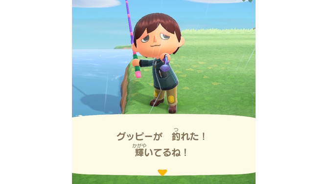 日本にもいる！？『あつまれ どうぶつの森』で釣れるグッピーってどんな魚？【平坂寛の『あつ森』博物誌】