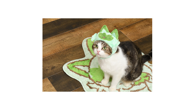 くさねこポケモン「ニャオハ」が主役！猫とも楽しめる新グッズ「にゃ！にゃにゃ！ ニャオハ！」2月22日発売決定