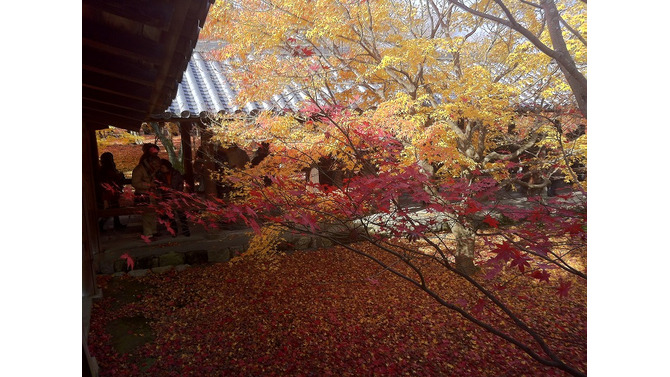 東福寺