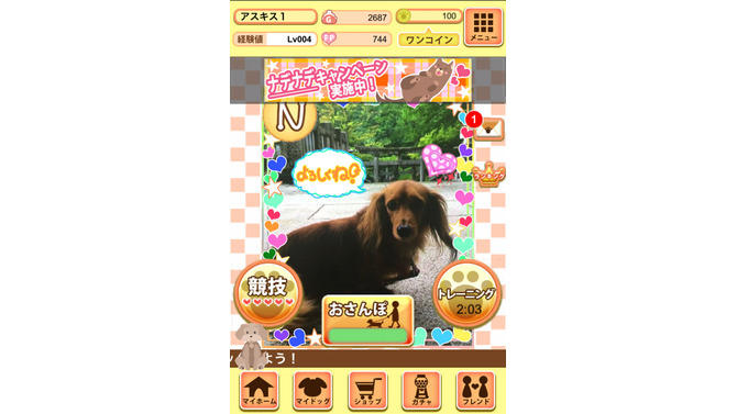 撮影した愛犬をゲーム内で育成し、全国デビューさせるSLG『ワンワンコロネット』サービス開始