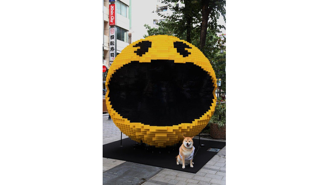新宿に出現した3mのパックマンと「宣伝ワン」に就任した“まる”