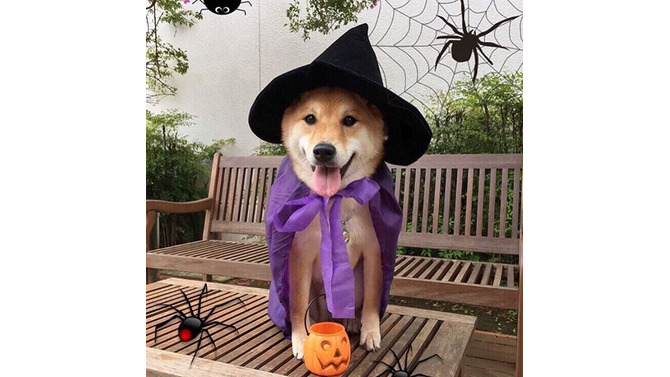 【特集】海外ハロウィンのコスプレは多様性もクオリティもスゴかった！