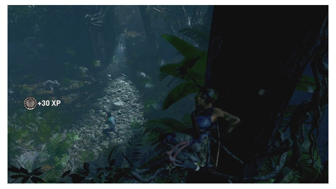 ジャングルとひとつに…『シャドウ オブ ザ トゥームレイダー』プレイ映像！【E3 2018】