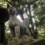 『Ghost of Tsushima』に影響されて近所の稲荷神社に行ったら意外に冒険気分が味わえた！