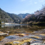 【Travel of Tsushima】聖地巡礼したい境井仁向けリアル対馬旅行ガイド 第二回―リアル対馬でもっとも『Ghost of Tsushima』なのはどこ？5段階評価で「ぽさ」を評価