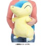 『ポケモンレジェンズ アルセウス』御三家の”等身大ぬいぐるみ”が登場!相棒たちの、どっしりとした”存在感”に癒される