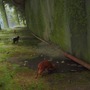 猫ゲー『Stray』は、どこまで「猫の魅力」に溢れているのか？ 猫飼いも納得の豊富なアクション＆猫あるあるを見よ！