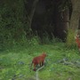 猫ゲー『Stray』は、どこまで「猫の魅力」に溢れているのか？ 猫飼いも納得の豊富なアクション＆猫あるあるを見よ！