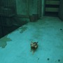 猫ゲー『Stray』は、どこまで「猫の魅力」に溢れているのか？ 猫飼いも納得の豊富なアクション＆猫あるあるを見よ！