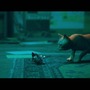 猫ゲー『Stray』は、どこまで「猫の魅力」に溢れているのか？ 猫飼いも納得の豊富なアクション＆猫あるあるを見よ！