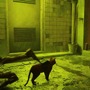 猫ゲー『Stray』は、どこまで「猫の魅力」に溢れているのか？ 猫飼いも納得の豊富なアクション＆猫あるあるを見よ！