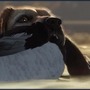 愛犬が飼える！犬とともに狩猟スローライフ『theHunter: Call of the Wild』最新DLC「Labrador Retriever」リリース