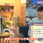 『モンハンワイルズ』CMにシリーズファン西野七瀬さん出演!リリースが楽しみすぎて眠れずリオレウス装備モチーフのアイマスク装着