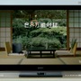 放映されているTVCM 放映されているTVCM