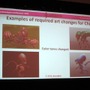 【GDC2011】ビジネスに裏打ちされたローカライズ・・・NC Softの『Guild Wars』