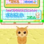 かわいい子猫DS