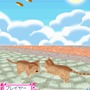 かわいい子猫DS