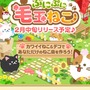 『ぷにぷに毛玉ねこ』