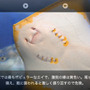 インテックと魚津、スマホ向けARアプリ『魚津水族館ARおさかな図鑑』リリース