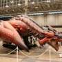 【モンスターハンターフェスタ’13】等身大のモンスターや足あとにハンターもビックリ、東京会場の盛り上がりをフォトレポートでお届け！