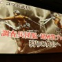 杉浦氏「Gシリーズ最大規模のボリュームと質になっている」、先行発表盛りだくさんの『MHF-GG』先行体験会レポート