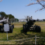 陸上自衛隊土浦駐屯地で戦車と一緒にお花見をしてきた