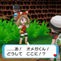 『ポケモン ORAS 特別体験版』プレイレポート、未発表のメガシンカポケモンもゲット可能