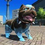 【インタビュー】『PSO2』2016年度後半は中上級者向けコンテンツにも注力！4年目の魅力・課題・野望を運営陣に訊いた