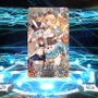 【特集】『FGO』開始2ヶ月で「姫路城大決戦」をクリアできるのか!?“ガチャ30連で戦力増強編”─来たれアサシン！