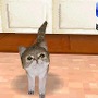 カジュアルシリーズ2980 Petz Catz キャッツ