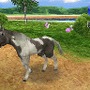 カジュアルシリーズ2980 Petz Horsez ホースズ
