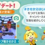 『ポケ森』「キャンプ場きせかえ」機能が追加！―背景の森やウッドデッキの見た目が変更可能