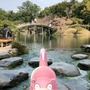 うどん県とポケモンの「ヤドン」がコラボ！「ヤドンパラダイス in 香川」開催決定