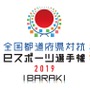 「全国都道府県対抗eスポーツ選手権2019 IBARAKI」『グランツーリスモSPORT』部門エントリー受付開始！