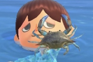 変な名前だがウマい！『あつまれ どうぶつの森』に登場する「ガザミ」ってどんなカニ？【平坂寛の『あつ森』博物誌】 画像