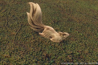 『モンハンライズ』の“環境生物”を、設定画・ラフ画と比較！ 再現度が高く、意外なラフ画に驚きも─「コウモリ骨」のエンエンクってなに!? 画像