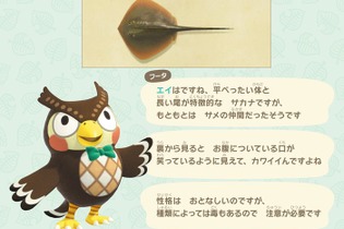 『あつ森』リアルイベントが仙台で開催決定！80種以上のサカナや海の幸を展示、会場のどこかにジョニーも漂着 画像