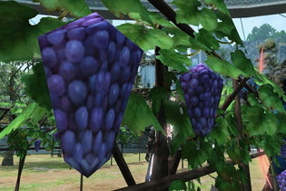 『FF14 暁月のフィナーレ』海外で「ローポリ過ぎるブドウ」がミーム化―ついには「ハイデリン」までブドウに 画像