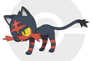 3DS『ポケモン サン・ムーン』次回の情報公開日が判明、公式サイトを見逃すな 画像