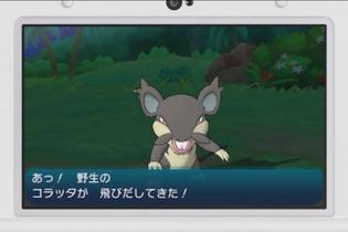 『ポケモン サン・ムーン』アローラ地方の「コラッタ」は黒い！他にもポケモン固有のＺワザが公開、購入特典も 画像