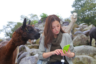 【特集】女子はアルパカ牧場でゲームをキャプれるか―秋の那須高原へ 画像
