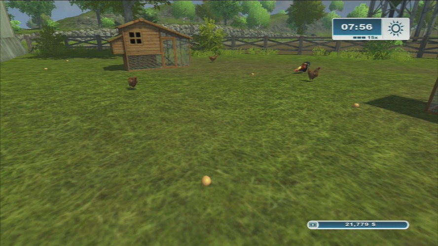 鶏小屋で卵拾い。鶏は何のリスクもなく飼うことができる