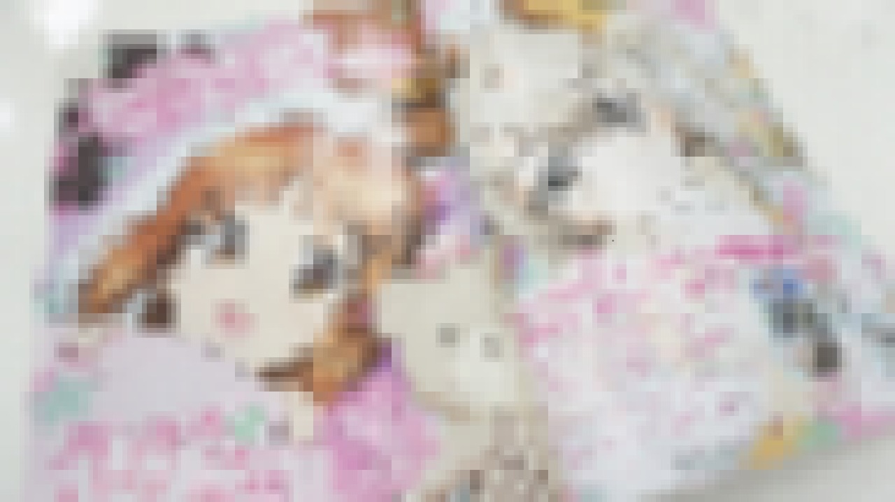 Animejapan の無料配布物 メーカー横断アニメガイド にガルパン新ova 愛里寿 ウォー の初公開カットが掲載 インサイド